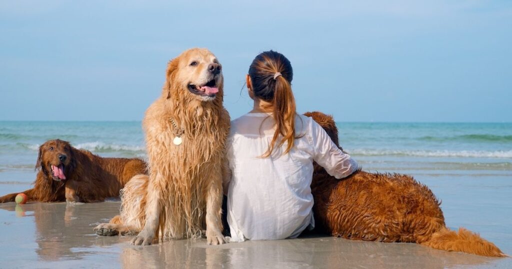 Dog-Friendly Croatia Pet Travel & Adventures Guide