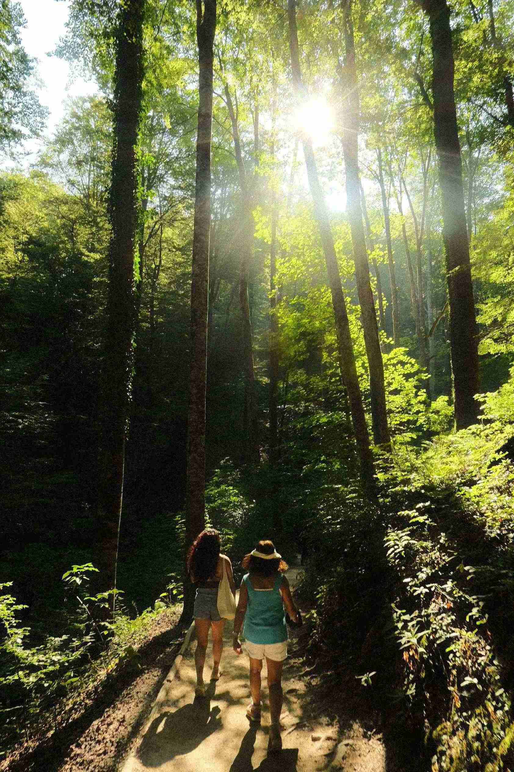 Visitors walking along a shaded forest trail with sunlight streaming through trees at Plitvice Lakes National Park.
